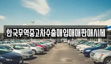 전남 강진군 군동면 중고차매입 전문 한국무역중고차수출매입매매판매시세