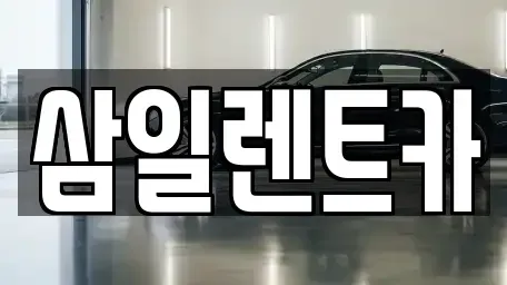 전남 광양시 도이동 렌트카 전문 삼일렌트카