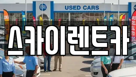 전남 광양시 도이동 렌트카 전문 스카이렌트카