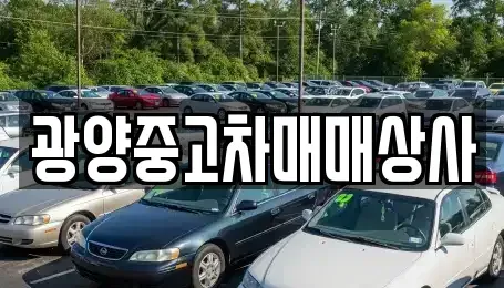 전남 광양시 도이동 중고차매매 전문 광양중고차매매상사