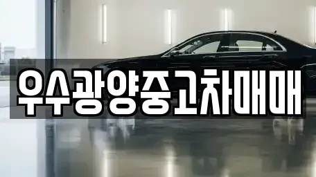 전남 광양시 도이동 중고차매매 전문 우수광양중고차매매