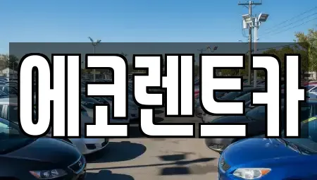 전남 나주시 남평읍 렌트카 전문 에코렌트카