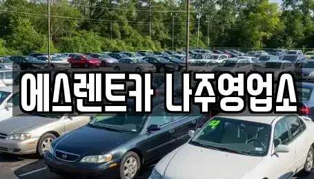 전남 나주시 렌트카 전문 에스렌트카 나주영업소