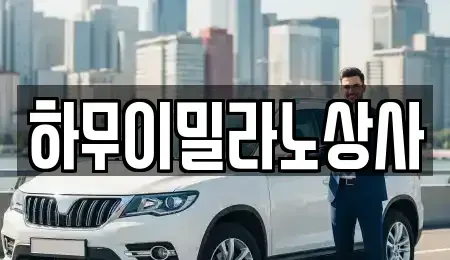 전남 나주시 중고차 전문 하무이밀라노상사