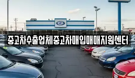 전남 나주시 진포동 중고차매매 전문 중고차수출업체중고차매입매매지원센터
