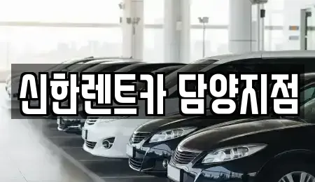 전남 담양군 무정면 렌트카 전문 신한렌트카 담양지점