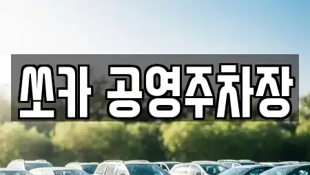 전남 담양군 무정면 렌트카 전문 쏘카 공영주차장