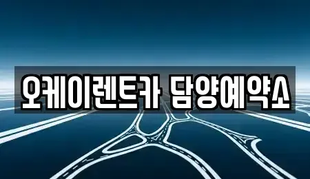 전남 담양군 무정면 장기렌트카 전문 오케이렌트카 담양예약소