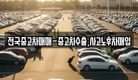 전남 목포시 명륜동 중고차매매 전문 전국중고차매매-중고차수출,사고노후차매입