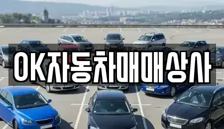 전남 여수시 서교동 중고차 전문 OK자동차매매상사