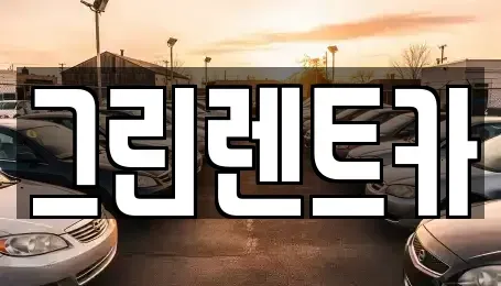 전남 여수시 학동 렌트카 전문 그린렌트카