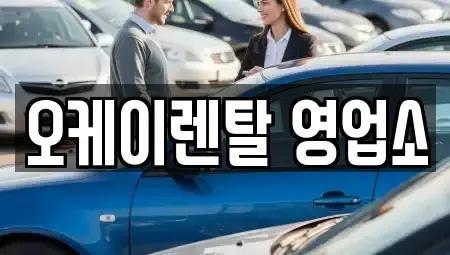 전남 장성군 서삼면 렌트카,단기렌트카,장기렌트카,중고차,중고차매매,중고차매입