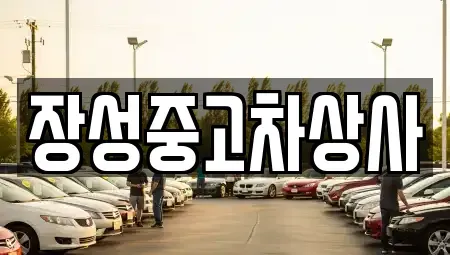 전남 장성군 서삼면 중고차 전문 장성중고차상사