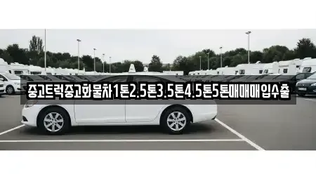 전남 장성군 서삼면 중고차 전문 중고트럭중고화물차1톤2.5톤3.5톤4.5톤5톤매매매입수출