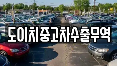 전남 장흥군 장평면 중고차매매 전문 도이치중고차수출무역