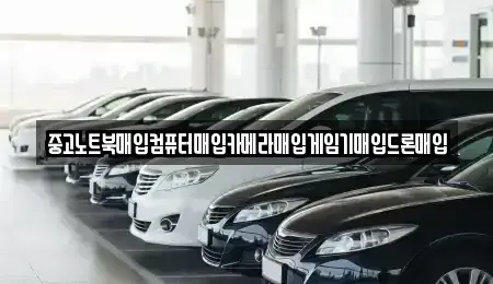 전남 장흥군 장평면 중고차매입 전문 중고노트북매입컴퓨터매입카메라매입게임기매입드론매입