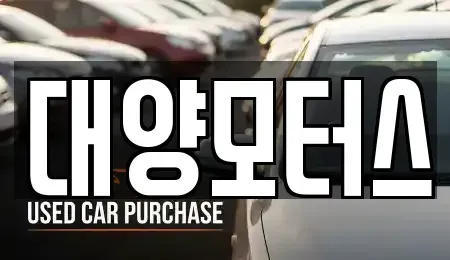 전라남도 광양시 태인동 중고차 전문 대양모터스