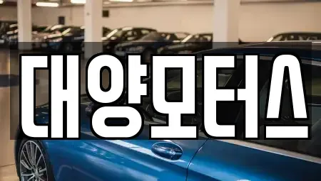 전라남도 보성군 미력면 중고차 전문 대양모터스