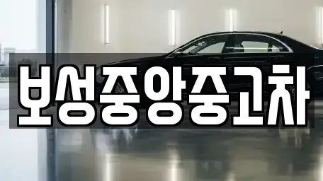 전라남도 보성군 미력면 중고차,렌트카,중고차매입,중고차매매,장기렌트카,단기렌트카