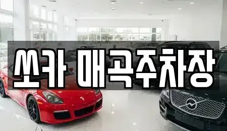 전라남도 순천시 매곡동 렌트카 전문 쏘카 매곡주차장