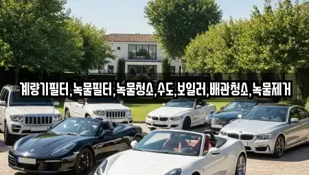 전라남도 순천시 석현동 렌트카 전문 계량기필터,녹물필터,녹물청소,수도,보일러,배관청소,녹물제거