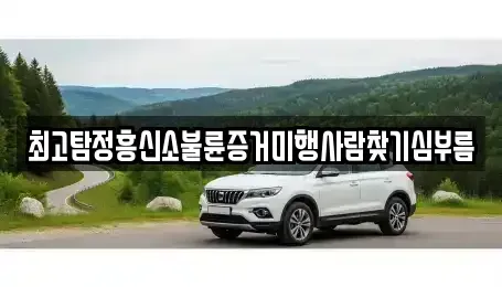 전라남도 순천시 와룡동 중고차매입 전문 최고탐정흥신소불륜증거미행사람찾기심부름