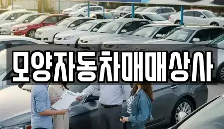 전북 고창군 고수면 중고차 전문 모양자동차매매상사