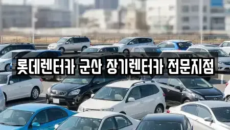 전북 군산시 경장동 렌트카 전문 롯데렌터카 군산 장기렌터카 전문지점