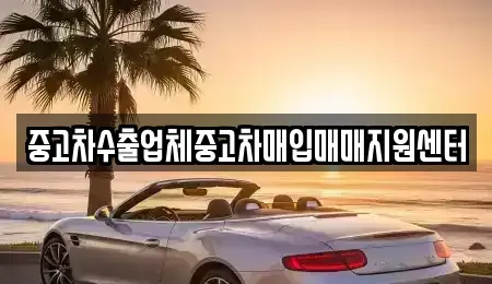 전북 군산시 경장동 중고차 전문 중고차수출업체중고차매입매매지원센터