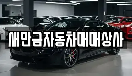 전북 군산시 영화동 중고차 전문 새만금자동차매매상사