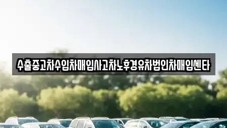 전북 김제시 도장동 중고차매입 전문 수출중고차수입차매입사고차노후경유차법인차매입센타
