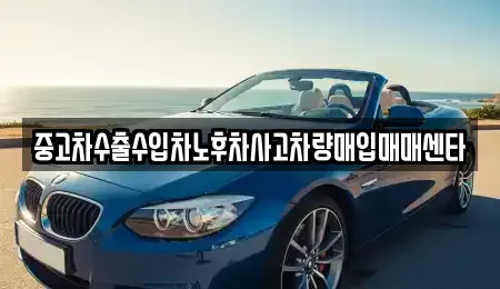 전북 김제시 도장동 중고차매입 전문 중고차수출수입차노후차사고차량매입매매센타