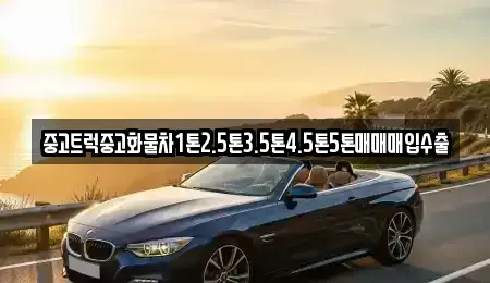 전북 김제시 도장동 단기렌트카,중고차매입,중고차매매,중고차,렌트카,장기렌트카