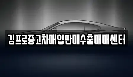 전북 익산시 현영동 중고차 전문 김프로중고차매입판매수출매매센터