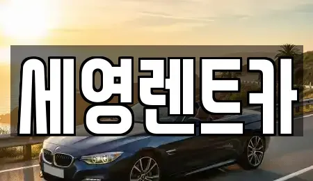 전북 전주시 덕진구 팔복동3가 렌트카 전문 세영렌트카