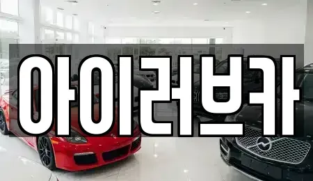 전북 전주시 덕진구 팔복동3가 중고차 전문 아이러브카