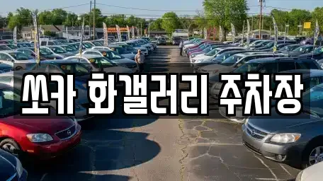전북특별자치도 군산시 경암동 렌트카 전문 쏘카 화갤러리 주차장
