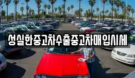 전북특별자치도 군산시 경암동 중고차매입 전문 성실한중고차수출중고차매입시세