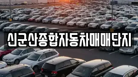 전북특별자치도 군산시 조촌동 중고차 전문 신군산종합자동차매매단지