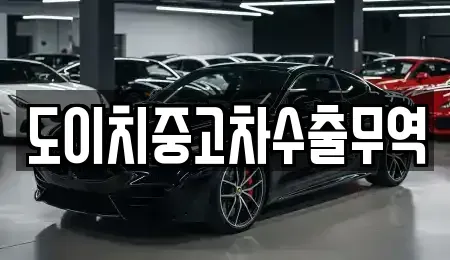 전북특별자치도 부안군 상서면 중고차매매 전문 도이치중고차수출무역