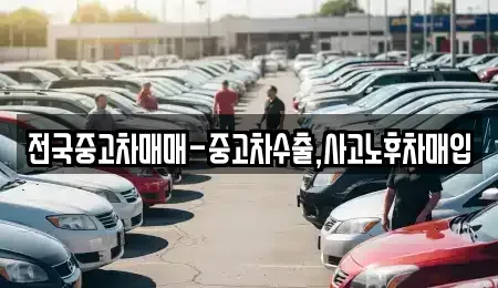 전북특별자치도 전주시 덕진구 여의동2가 중고차매입 전문 전국중고차매매-중고차수출,사고노후차매입