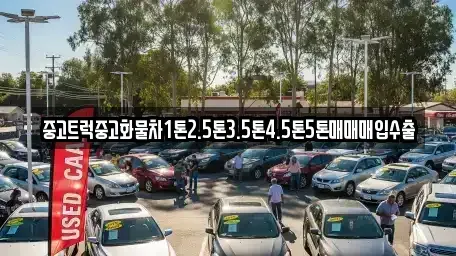 전북특별자치도 전주시 덕진구 여의동2가 중고차매입 전문 중고트럭중고화물차1톤2.5톤3.5톤4.5톤5톤매매매입수출