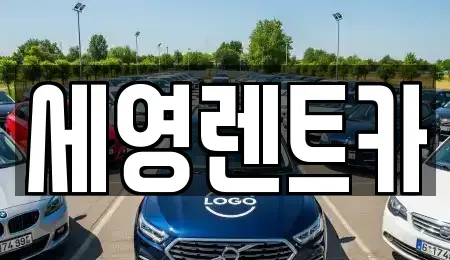 전북특별자치도 전주시 덕진구 팔복동1가 렌트카 전문 세영렌트카