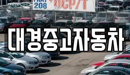전북특별자치도 전주시 덕진구 팔복동1가 중고차 전문 대경중고자동차