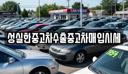 전북특별자치도 전주시 덕진구 팔복동1가 중고차매입 전문 성실한중고차수출중고차매입시세