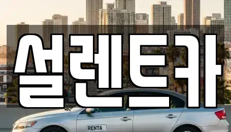 전북특별자치도 전주시 완산구 서신동 렌트카,단기렌트카,장기렌트카,중고차,중고차매매,중고차매입