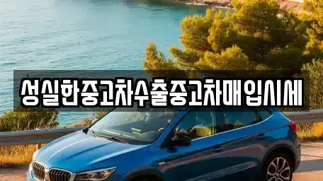전북특별자치도 전주시 완산구 서신동 중고차매입 전문 성실한중고차수출중고차매입시세
