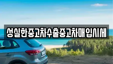 전북특별자치도 전주시 완산구 중노송동 중고차 전문 성실한중고차수출중고차매입시세