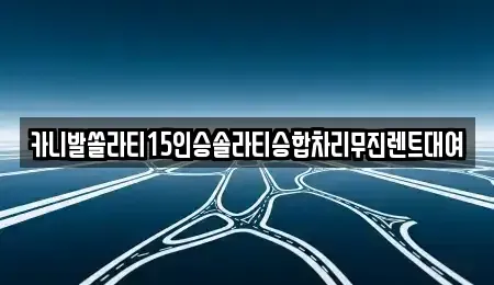 전북특별자치도 전주시 완산구 중화산동1가 렌트카 전문 카니발쏠라티15인승솔라티승합차리무진렌트대여