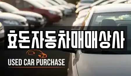 제주 서귀포시 신효동 중고차매매 전문 효돈자동차매매상사